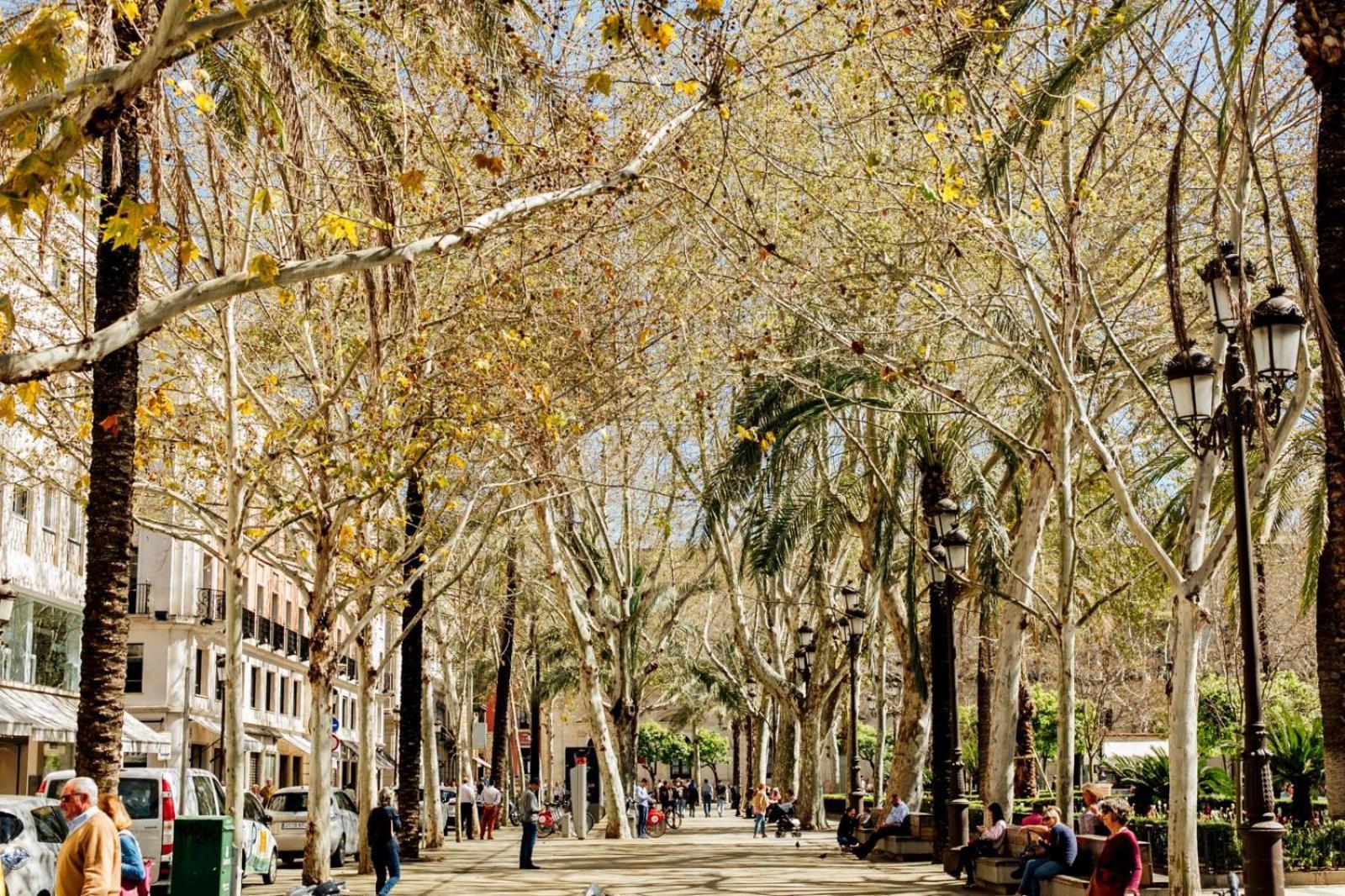 Plaza De La Magdalena I, Centro Historico * Séville